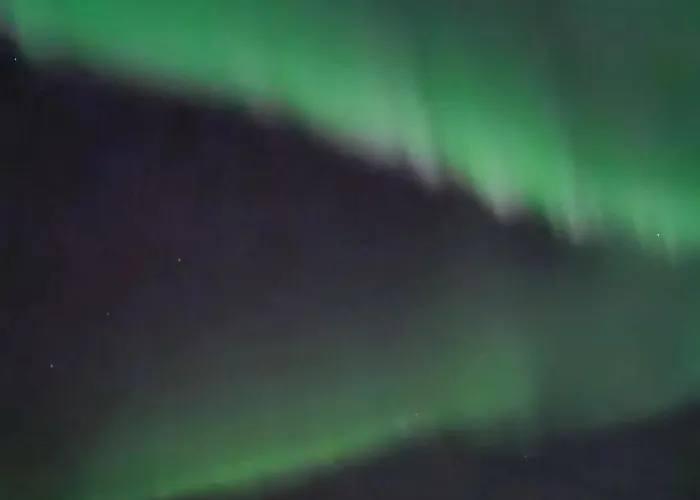 Brand New Puomikuja *